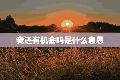 我还有机会吗是什么意思